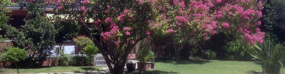 51 On Forest Drive Ciudad del Cabo Exterior foto